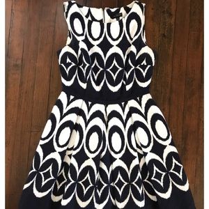 The Limited- Navy & White dress